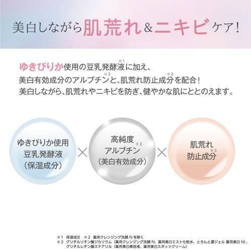 日本SANA莎娜豆乳美肌煥白美容精華液